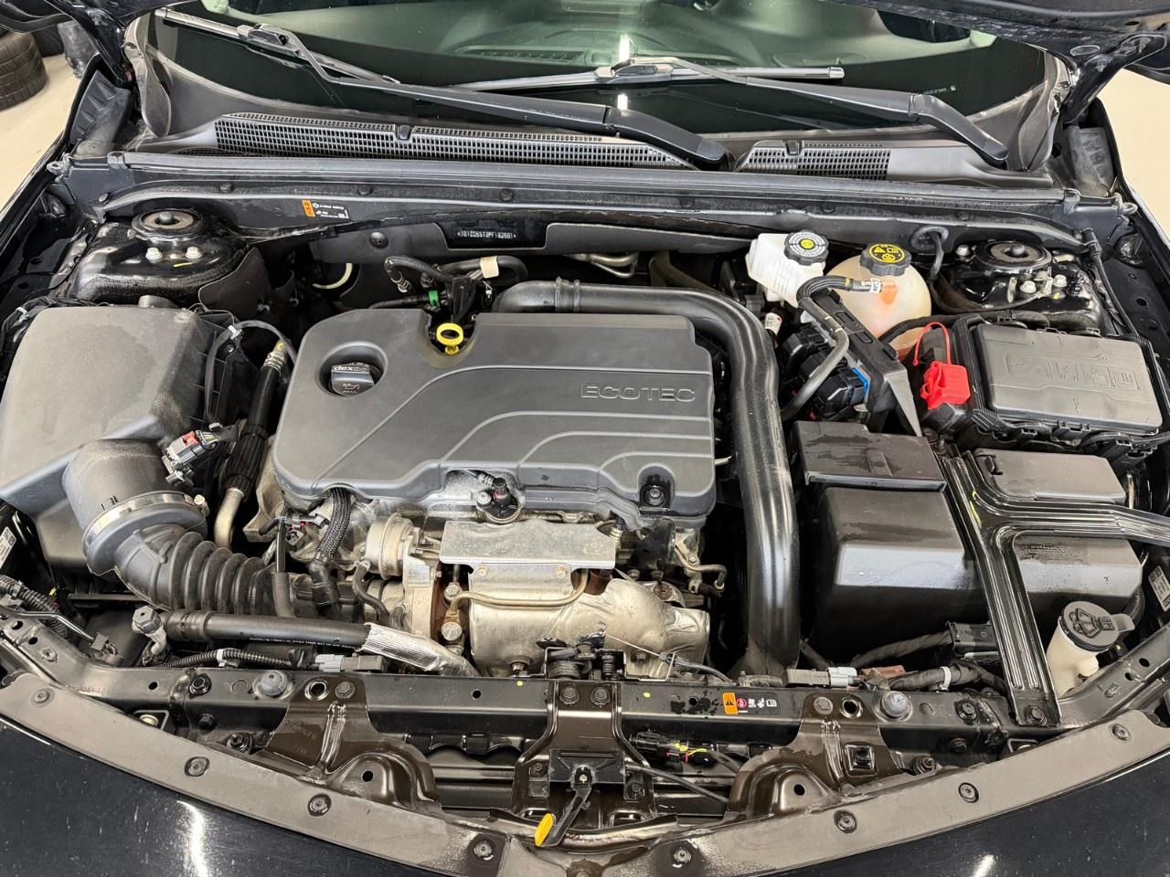 2023 Chevrolet Malibu 1LT Photo