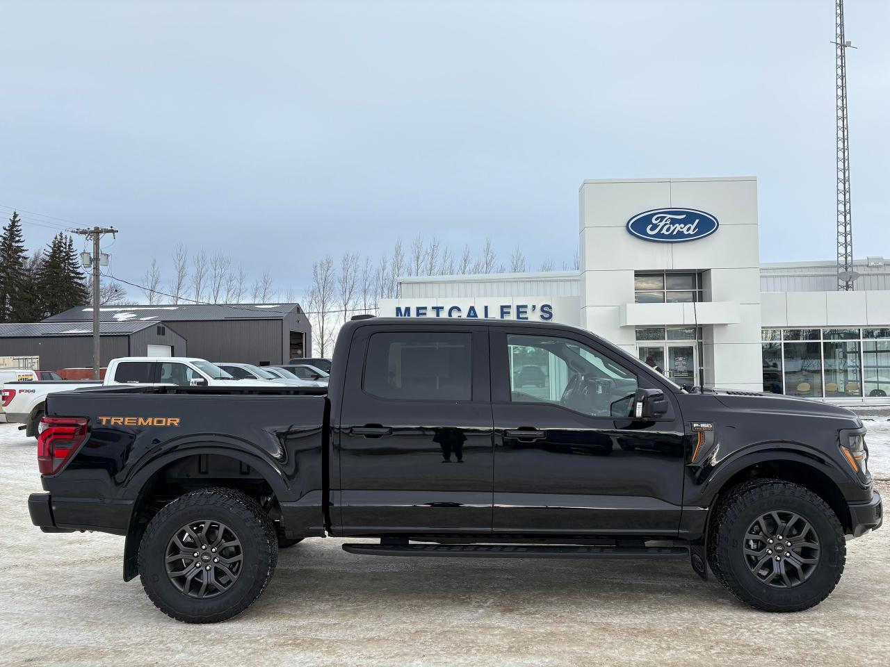 2025 Ford F-150 Tremor 4WD SuperCrew 5.5' Box Photo0