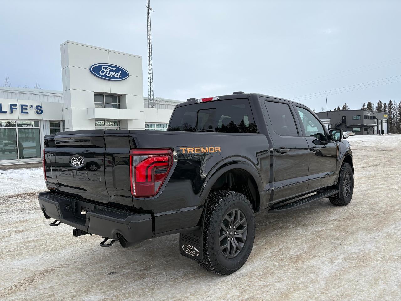 2025 Ford F-150 Tremor 4WD SuperCrew 5.5' Box Photo4
