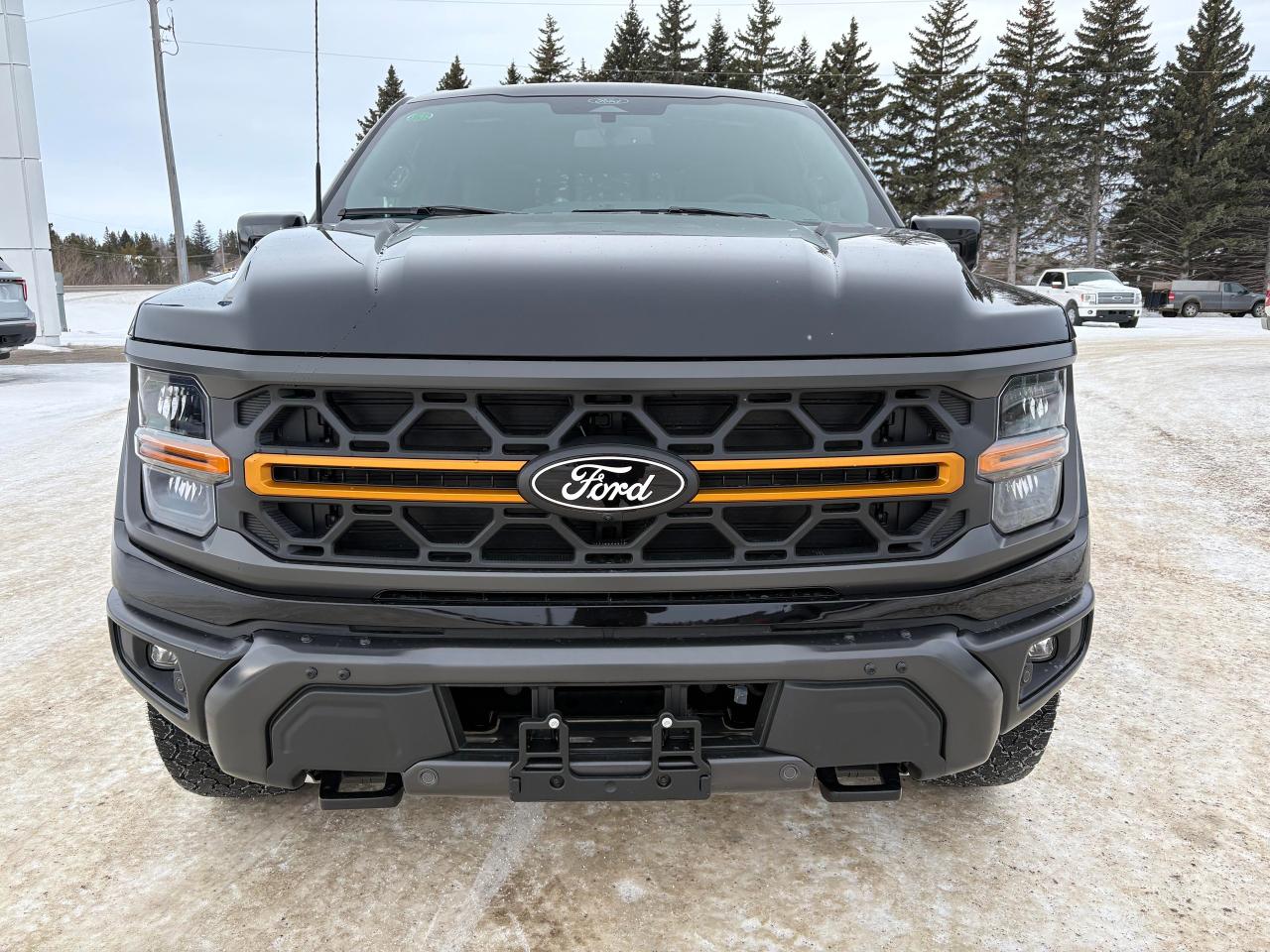 2025 Ford F-150 Tremor 4WD SuperCrew 5.5' Box Photo2