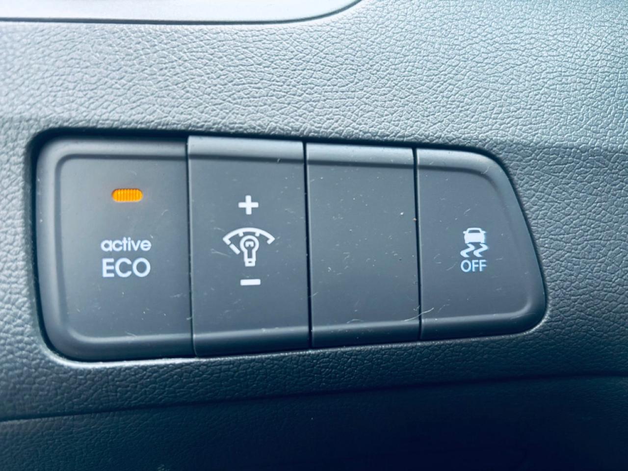 2013 Hyundai Elantra SE 2dr Coupe Automatic Photo