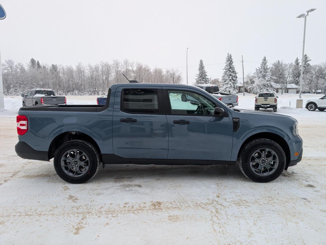 2026 Ford Maverick XLT Photo4