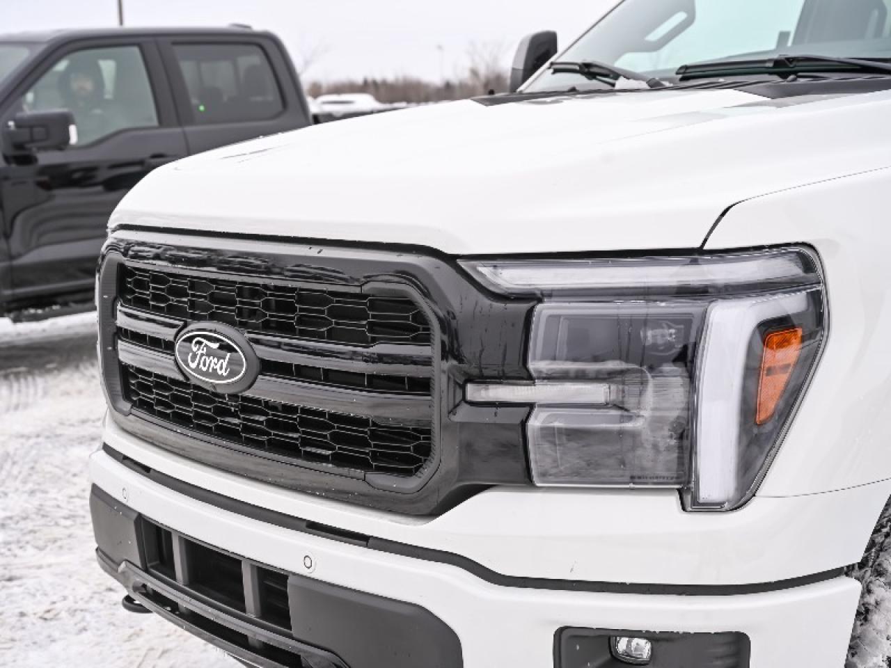 2025 Ford F-150 Lariat Photo