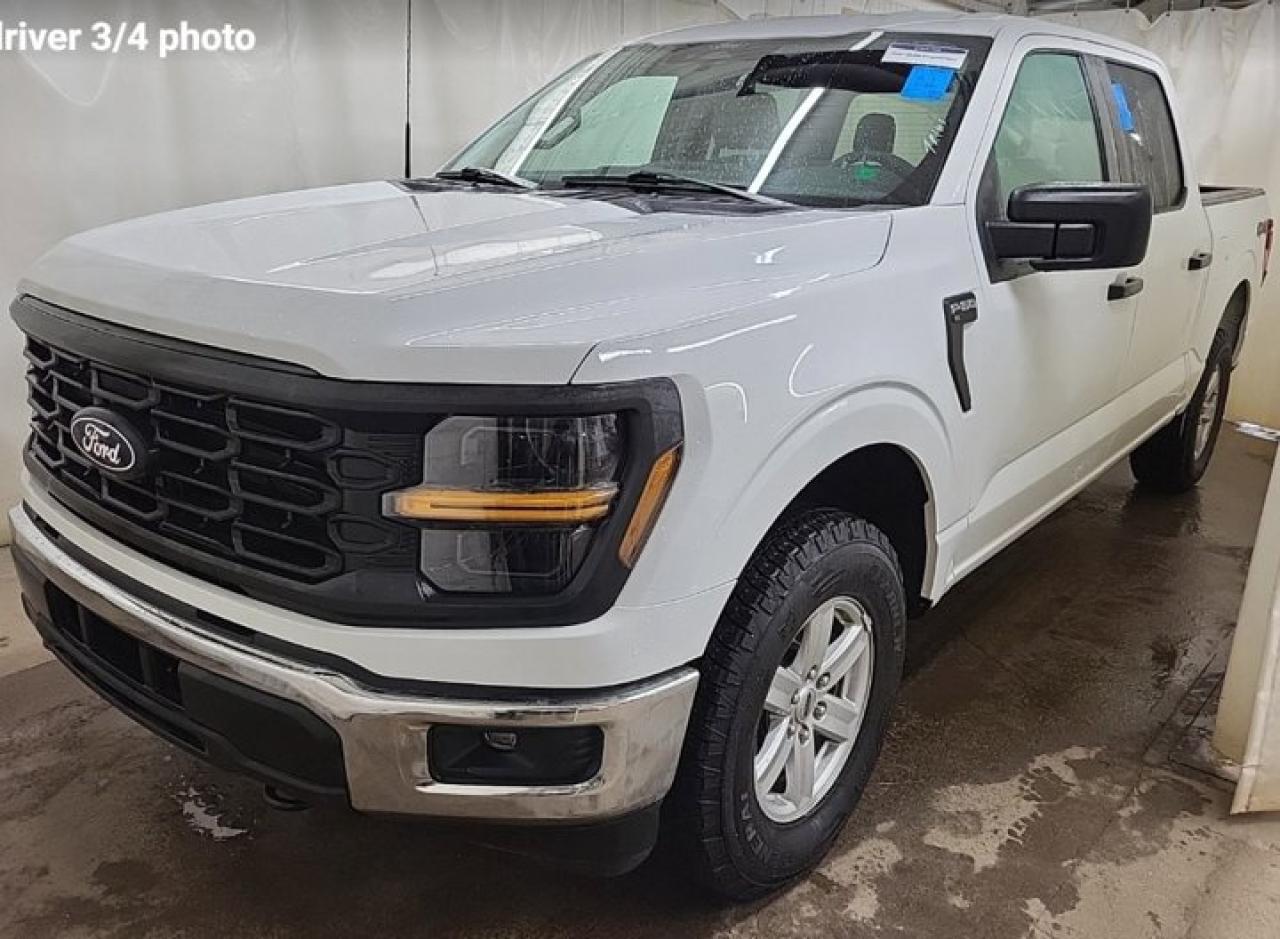2024 Ford F-150 XL Crew 4X4 | 103A | CarPlay + Android | BSM | Hitch | Rear Camera | Alloy Wheels | and More! Photo0