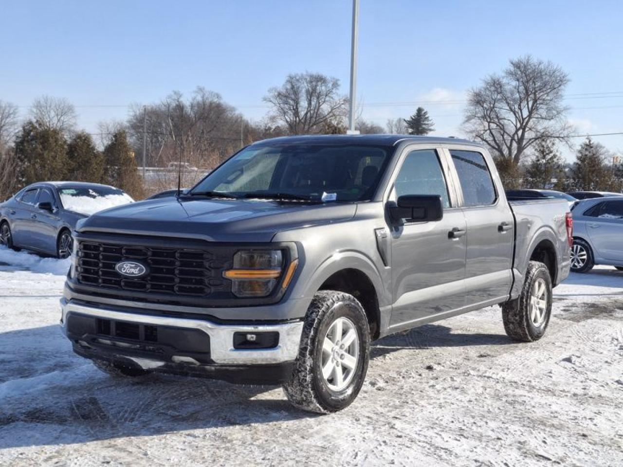 2024 Ford F-150 XL Crew 4X4 | 103A | CarPlay + Android | BSM | Hitch | Rear Camera | Alloy Wheels | and More! Photo