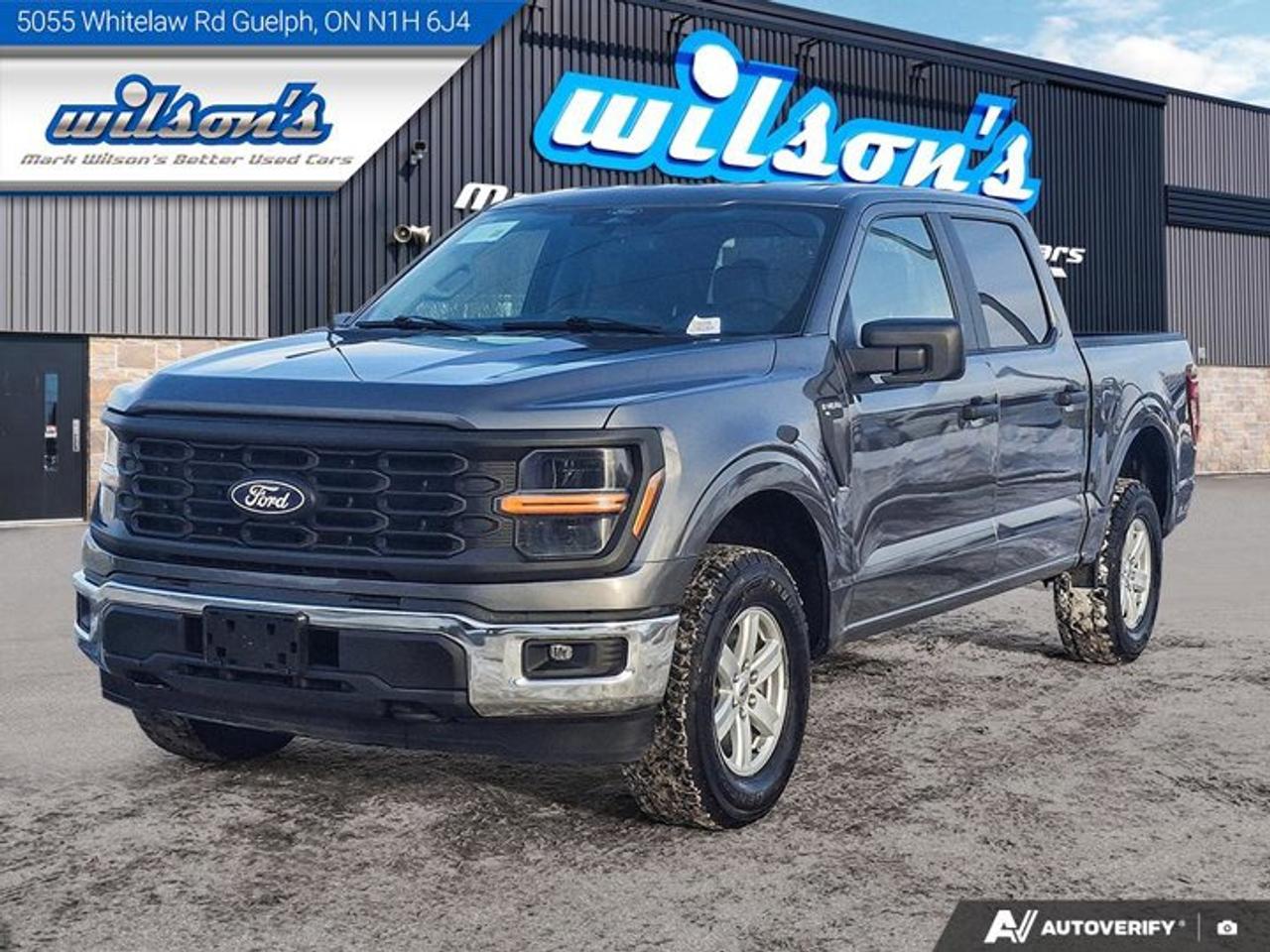 2024 Ford F-150 XL Crew 4X4 | 103A | CarPlay + Android | BSM | Hitch | Rear Camera | Alloy Wheels | and More! Photo