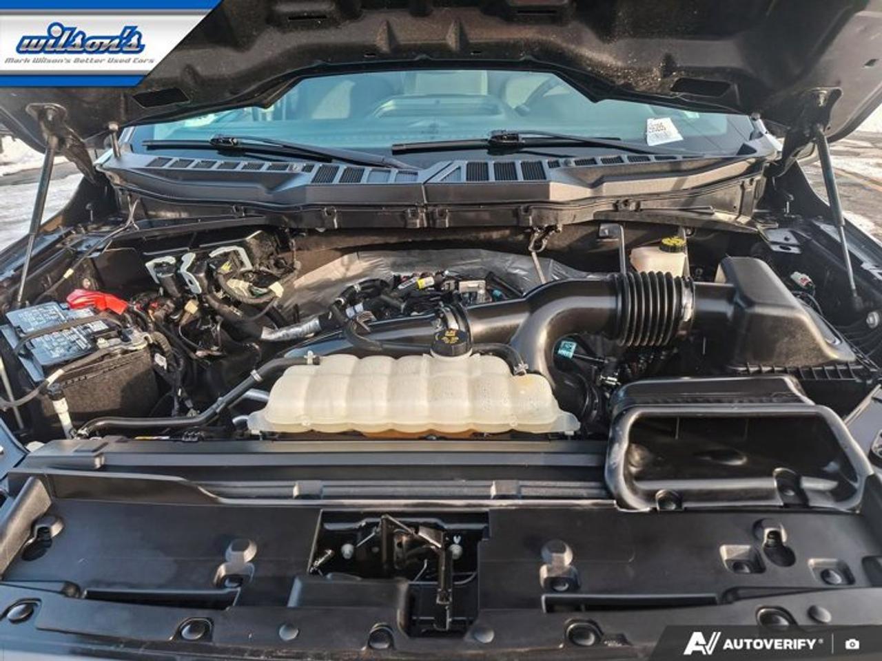 2024 Ford F-150 XL Crew 4X4 | 103A | CarPlay + Android | BSM | Hitch | Rear Camera | Alloy Wheels | and More! Photo