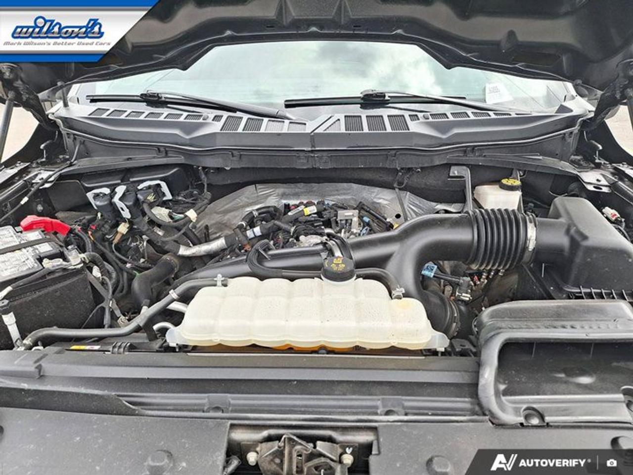 2024 Ford F-150 XL Crew 4X4 | 103A | CarPlay + Android | BSM | Hitch | Rear Camera | Alloy Wheels | and More! Photo