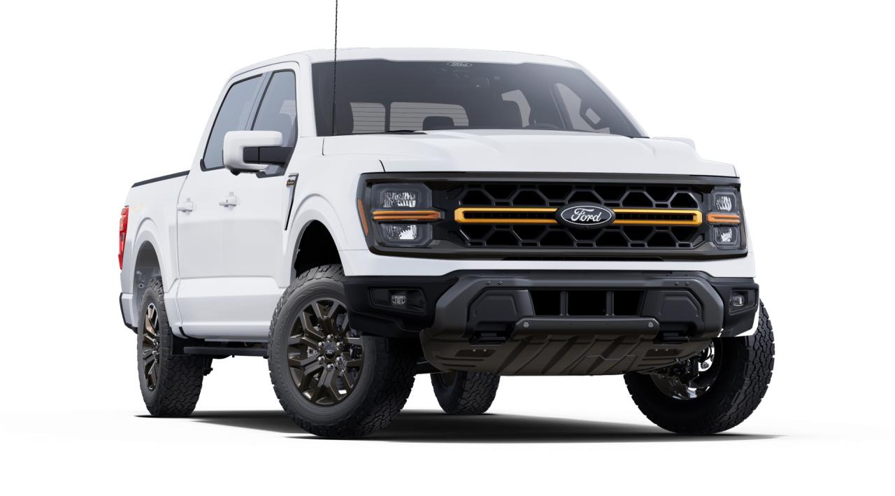 2025 Ford F-150 Tremor Photo3