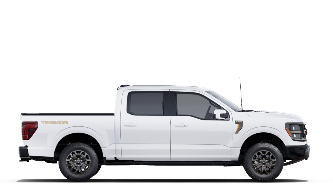 2025 Ford F-150 Tremor Photo4