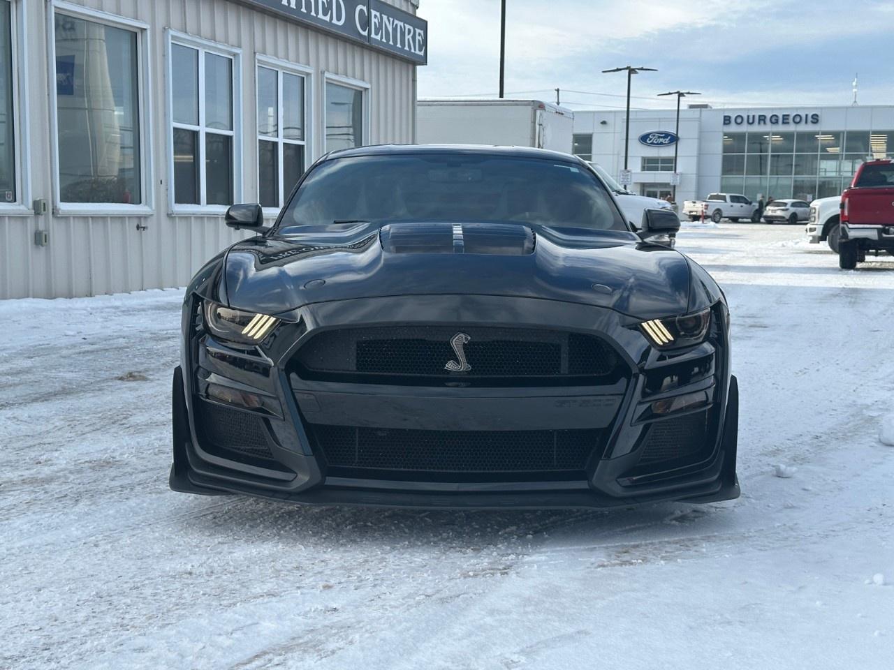 2020 Ford Mustang Shelby GT500 Fastback Photo