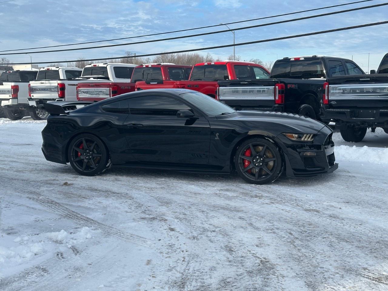 2020 Ford Mustang Shelby GT500 Fastback Photo