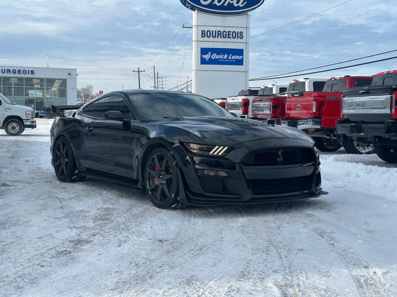 2020 Ford Mustang Shelby GT500 Fastback Photo