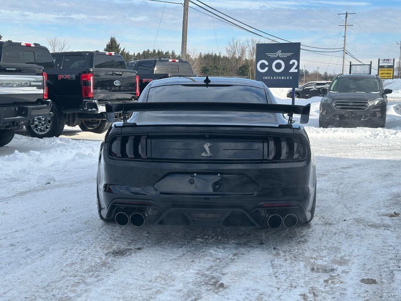 2020 Ford Mustang Shelby GT500 Fastback Photo