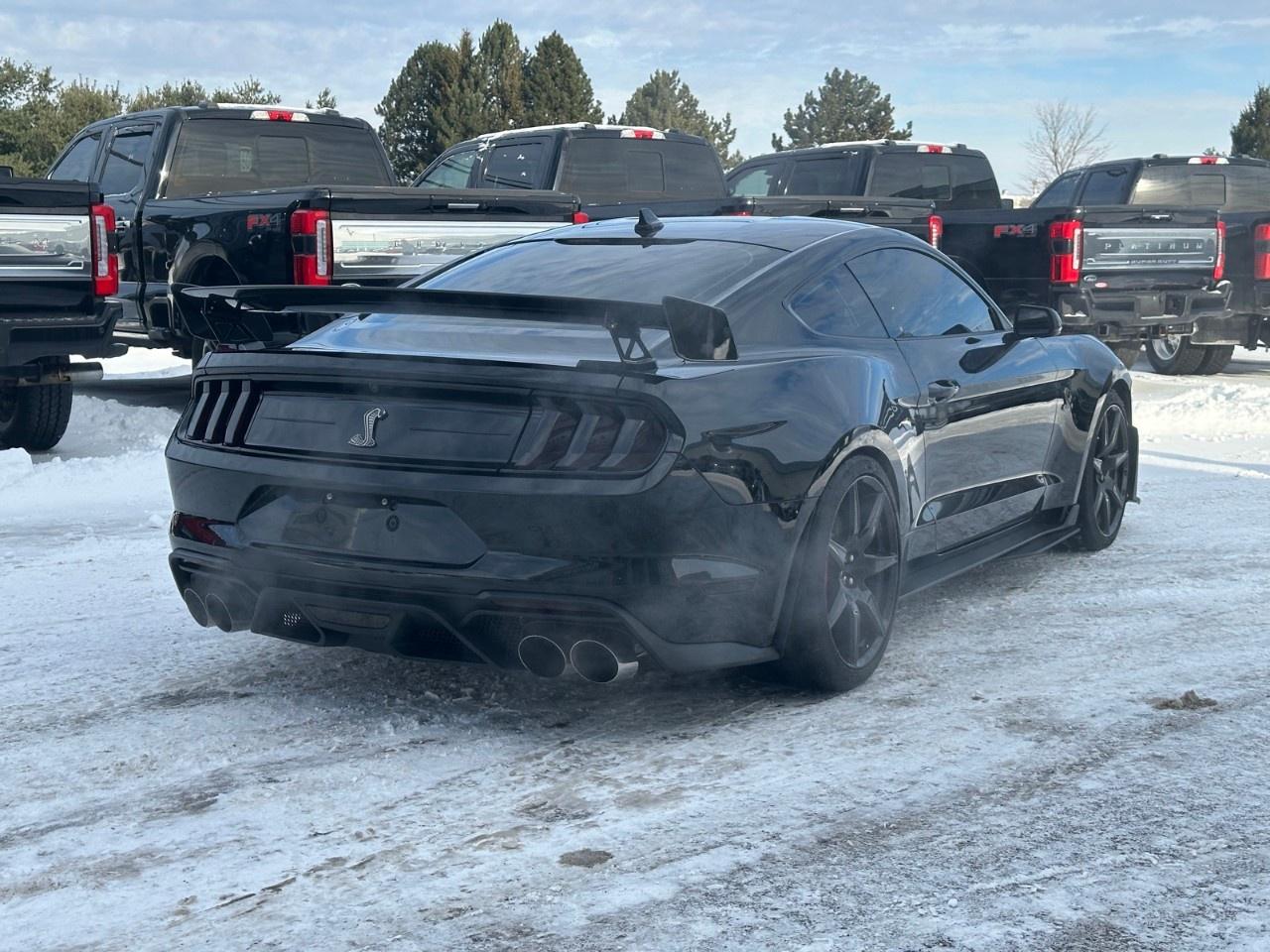 2020 Ford Mustang Shelby GT500 Fastback Photo