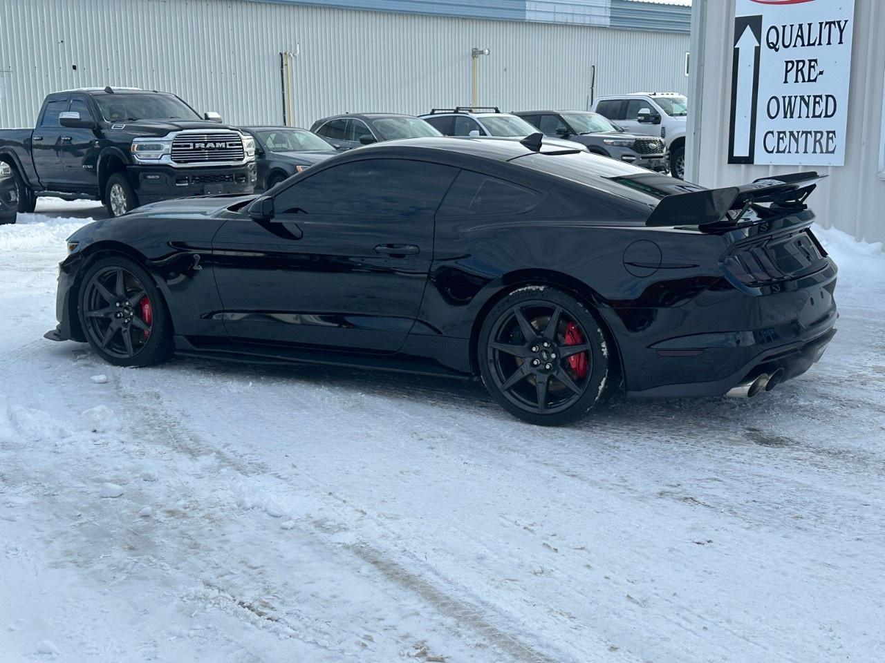 2020 Ford Mustang Shelby GT500 Fastback Photo
