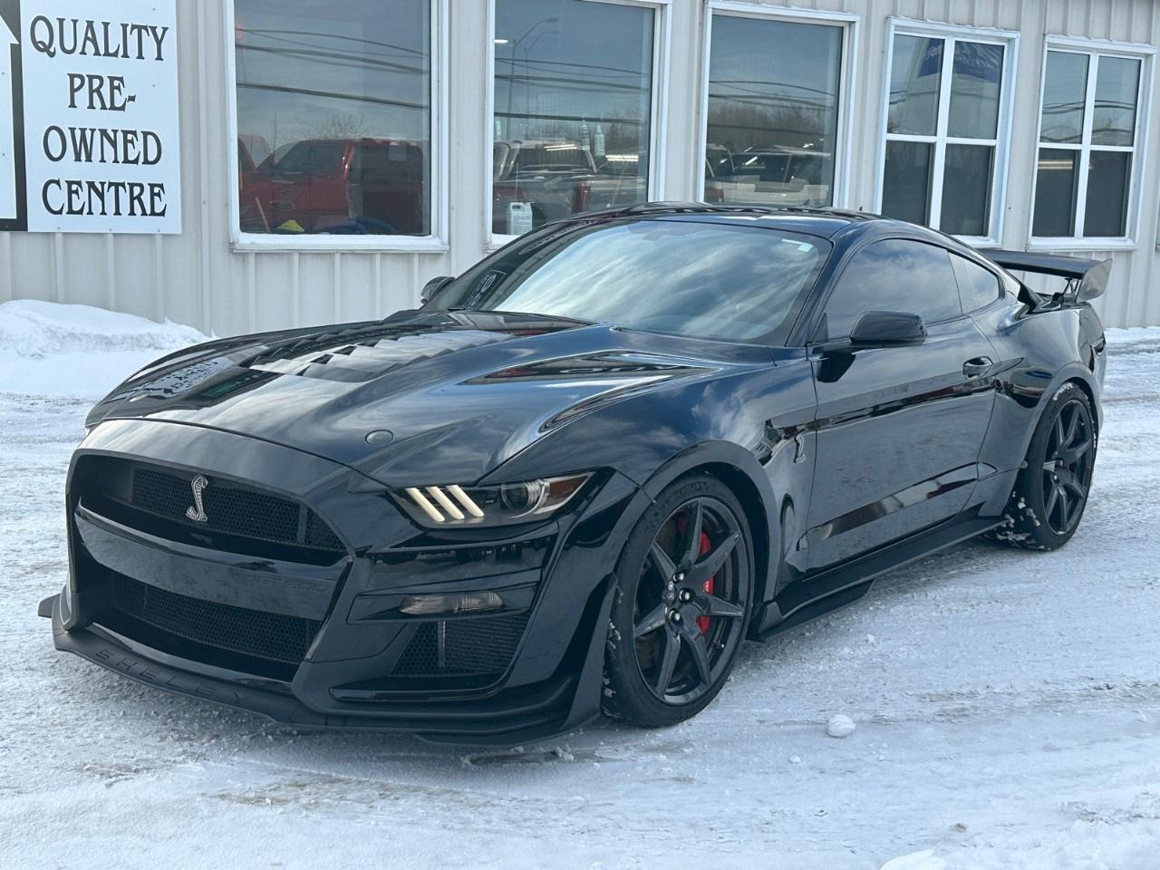 2020 Ford Mustang Shelby GT500 Fastback Photo