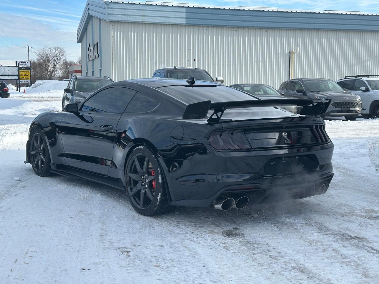 2020 Ford Mustang Shelby GT500 Fastback Photo