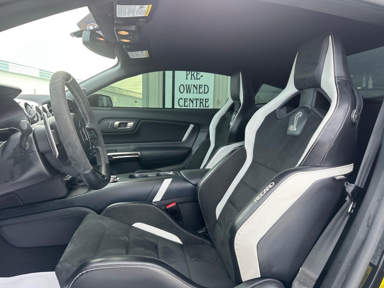 2020 Ford Mustang Shelby GT500 Fastback Photo