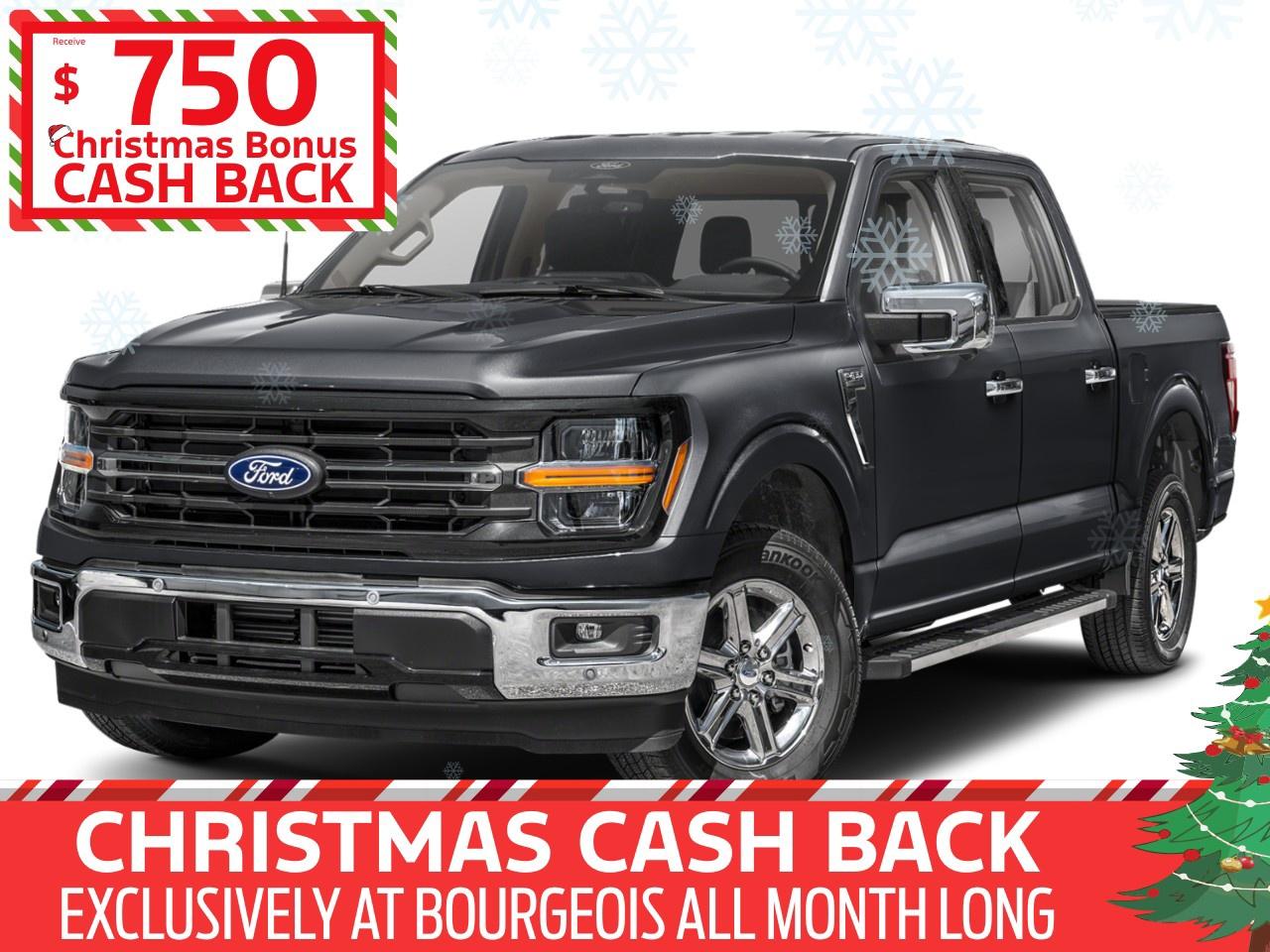 2025 Ford F-150 XLT 4WD SuperCrew 6.5' Box Photo0