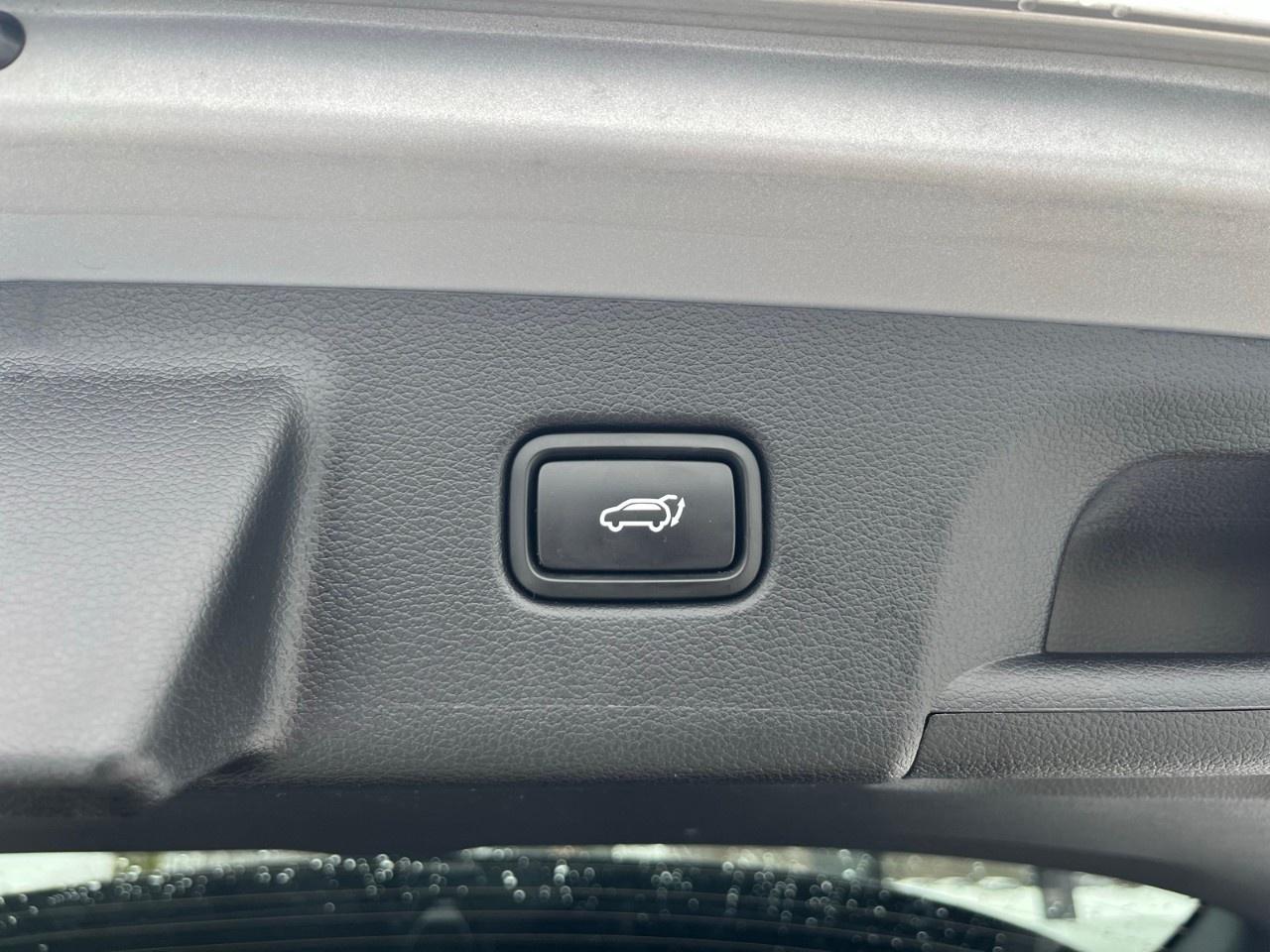 2024 Hyundai PALISADE Ultimate Calligraphy 7-Passenger AWD Photo