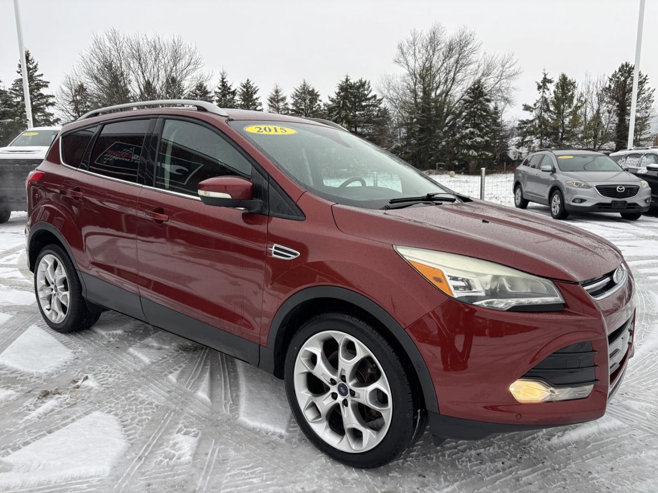 2015 Ford Escape Titanium 4WD Photo