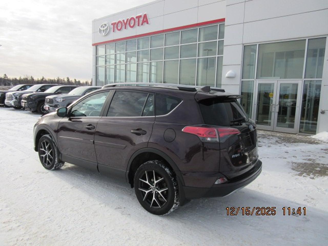 2017 Toyota RAV4 se Photo