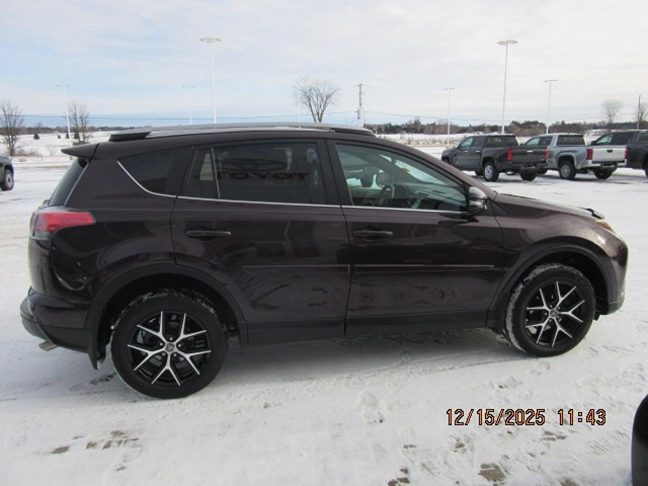2017 Toyota RAV4 se Photo