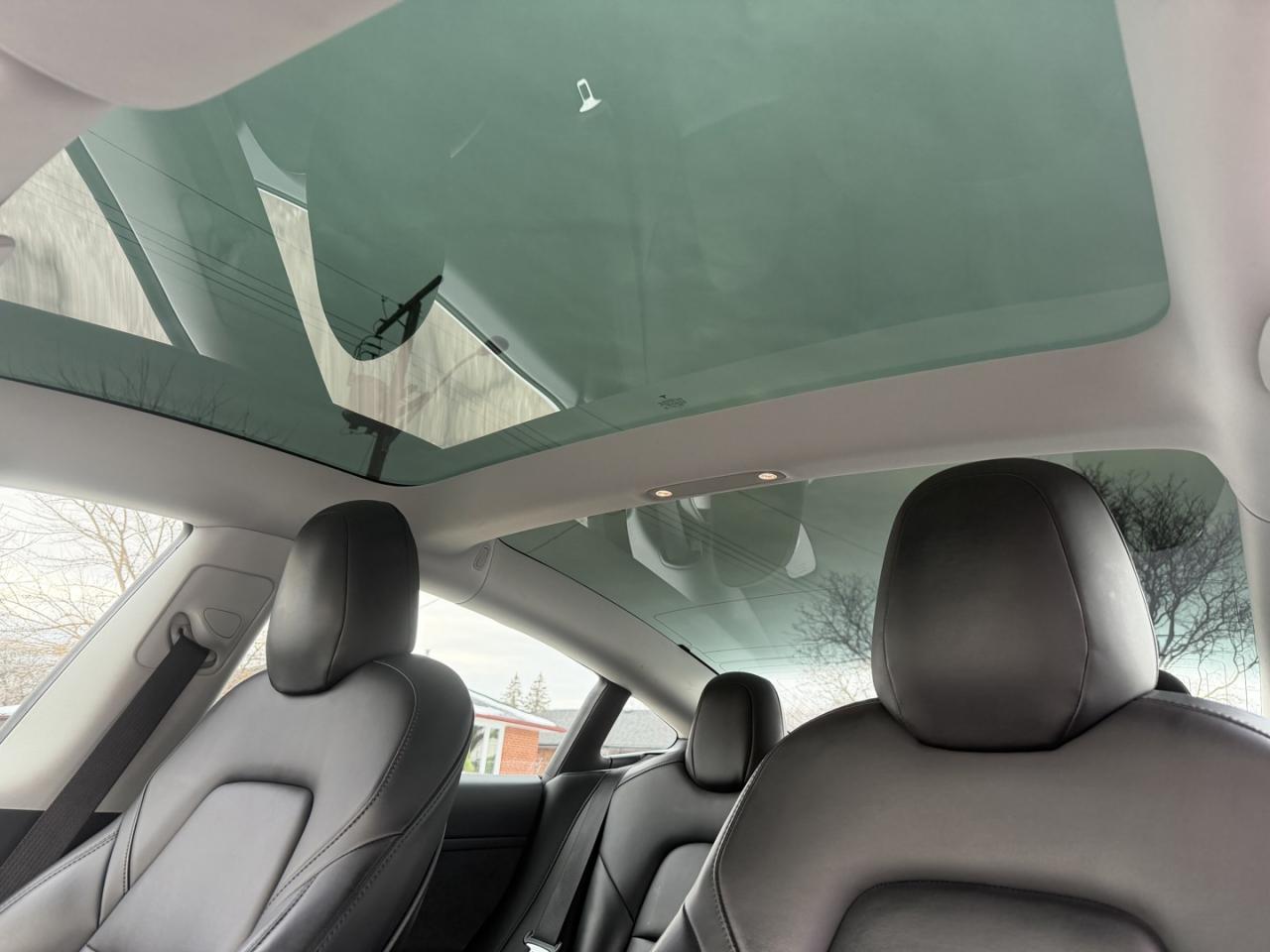 2020 Tesla Model 3 STANDARD RANGE PLUS Photo