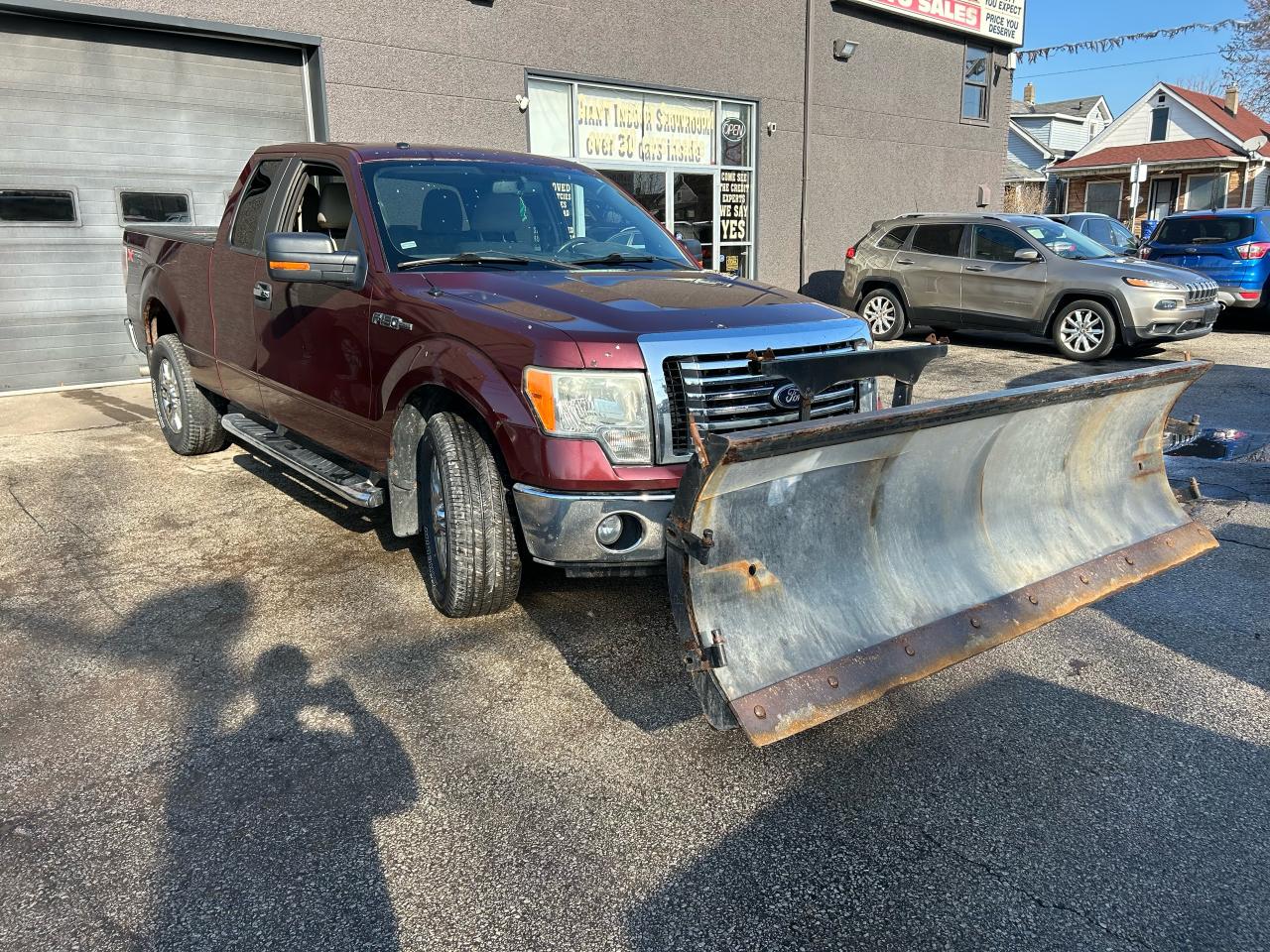 2010 Ford F-150 XLT Photo