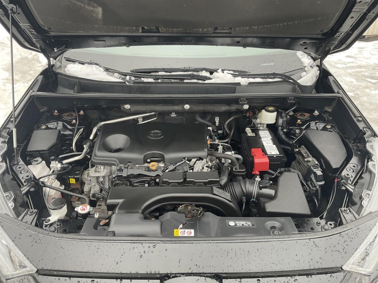 2021 Toyota RAV4 LE - BACK-UP CAM! BSM! SAFETY SENSE! Photo