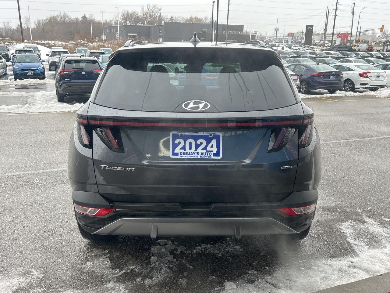 2024 Hyundai Tucson Trend   Leather   Pano Roof   Nav   Clean Carfax Photo