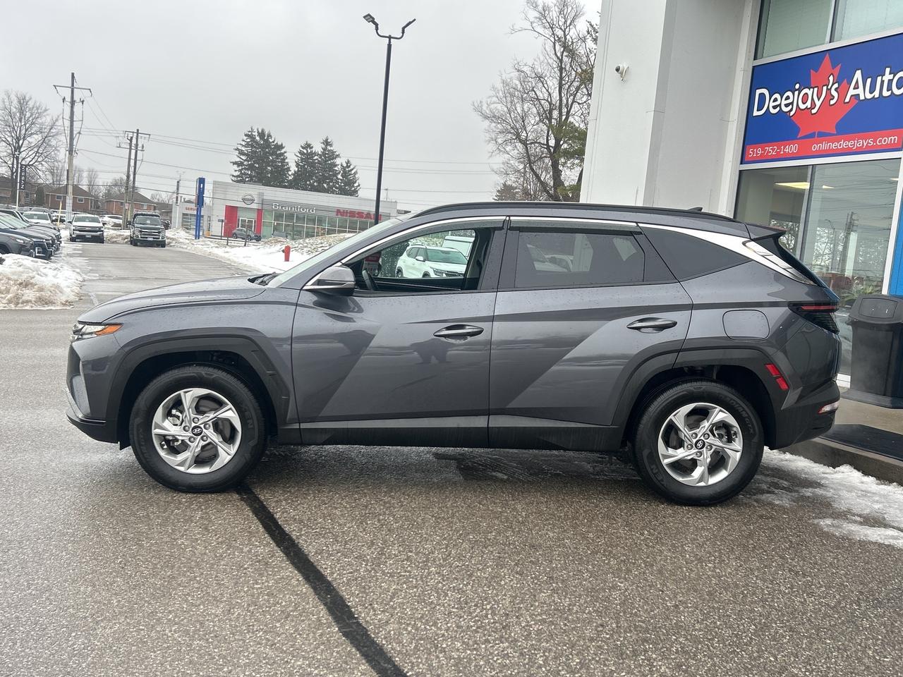 2024 Hyundai Tucson Trend   Leather   Pano Roof   Nav   Clean Carfax Photo