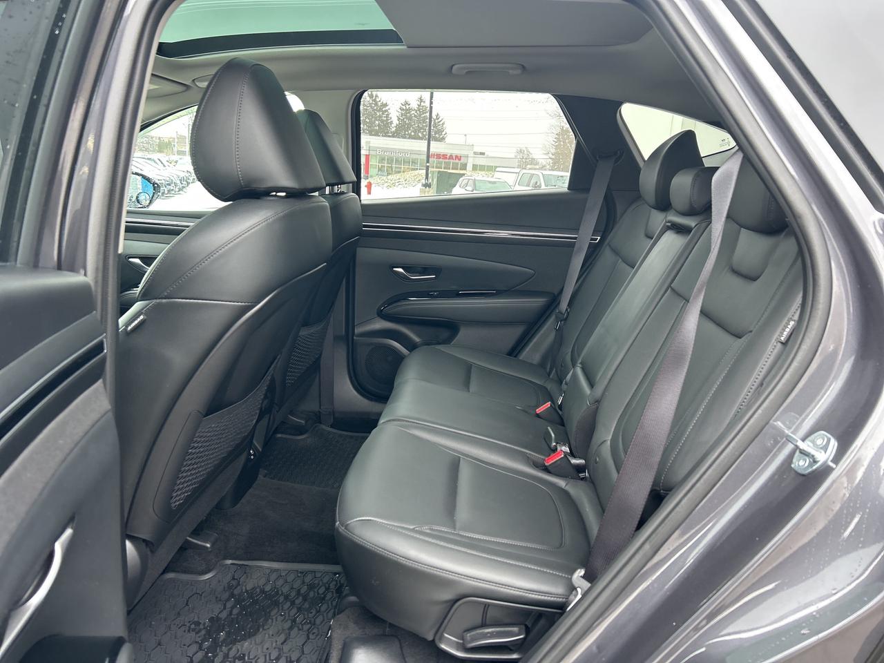 2024 Hyundai Tucson Trend   Leather   Pano Roof   Nav   Clean Carfax Photo