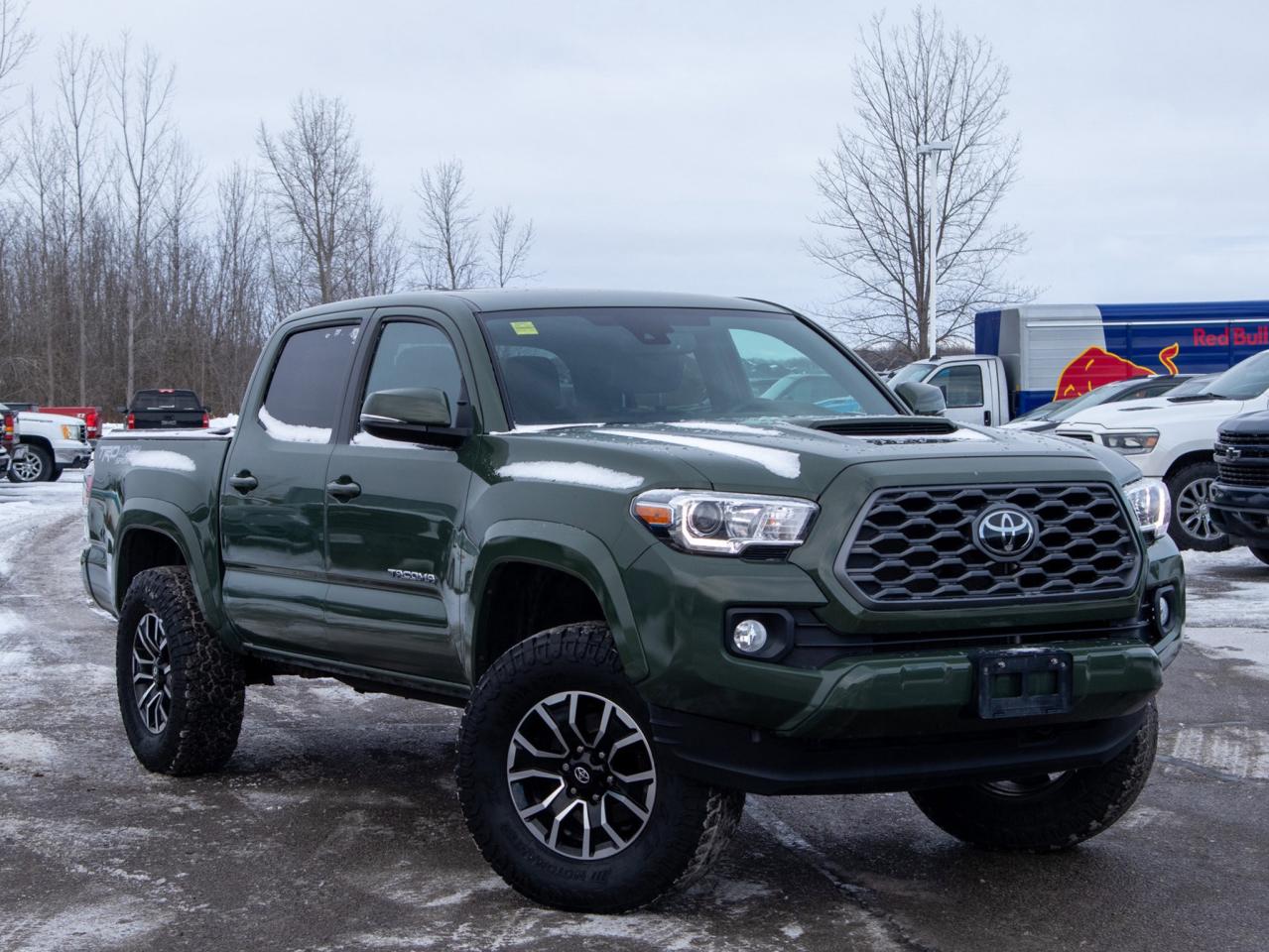 2021 Toyota Tacoma TRD Sport - Adaptive Cruise   Adjustable Lumbar Photo