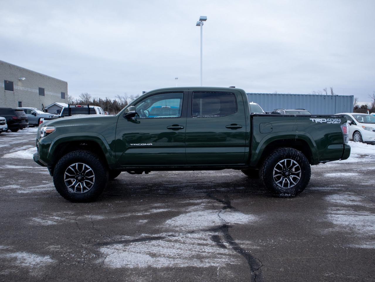 2021 Toyota Tacoma TRD Sport - Adaptive Cruise   Adjustable Lumbar Photo4