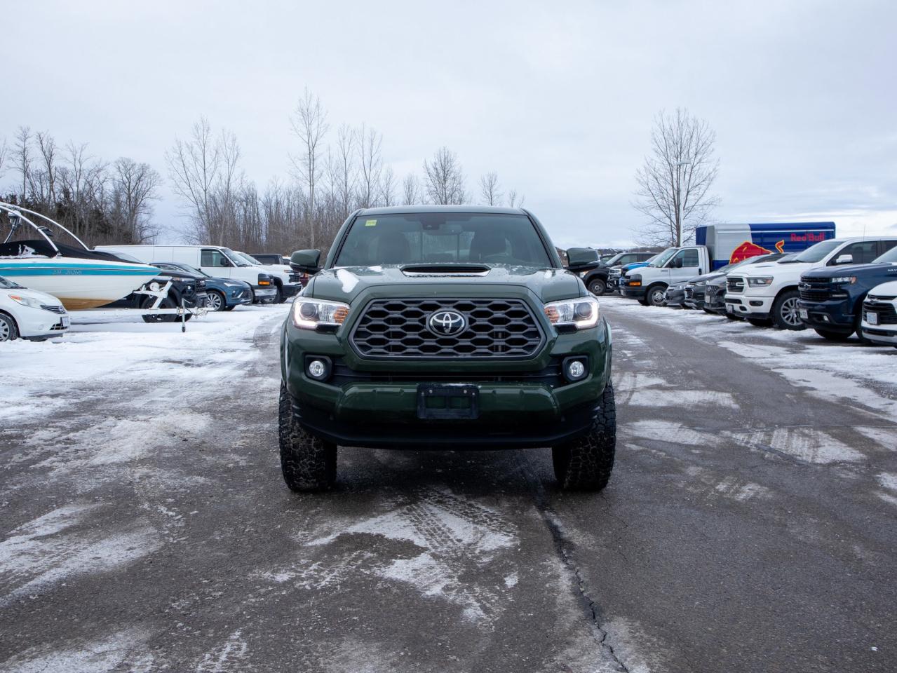 2021 Toyota Tacoma TRD Sport - Adaptive Cruise   Adjustable Lumbar Photo