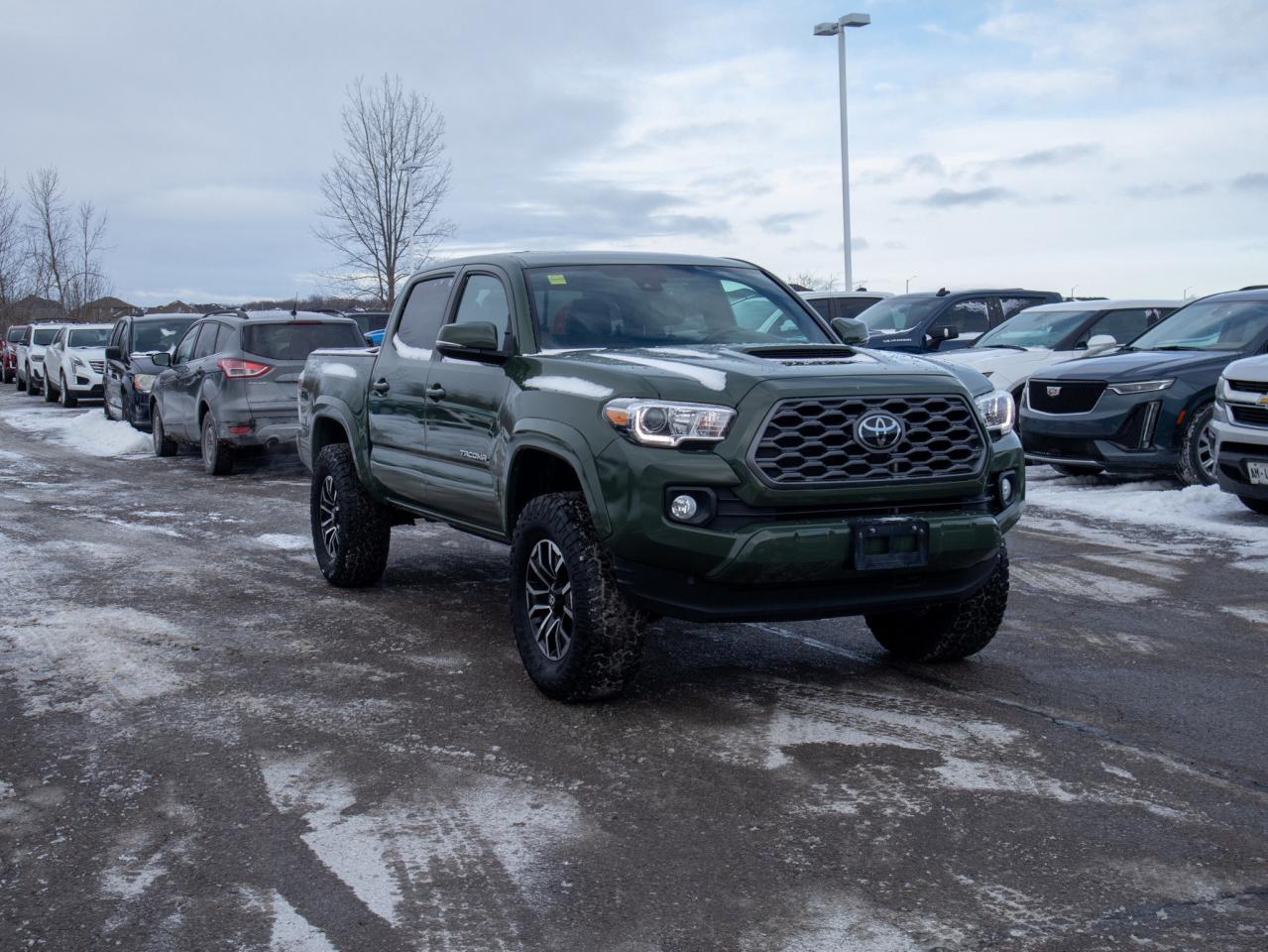 2021 Toyota Tacoma TRD Sport - Adaptive Cruise   Adjustable Lumbar Photo