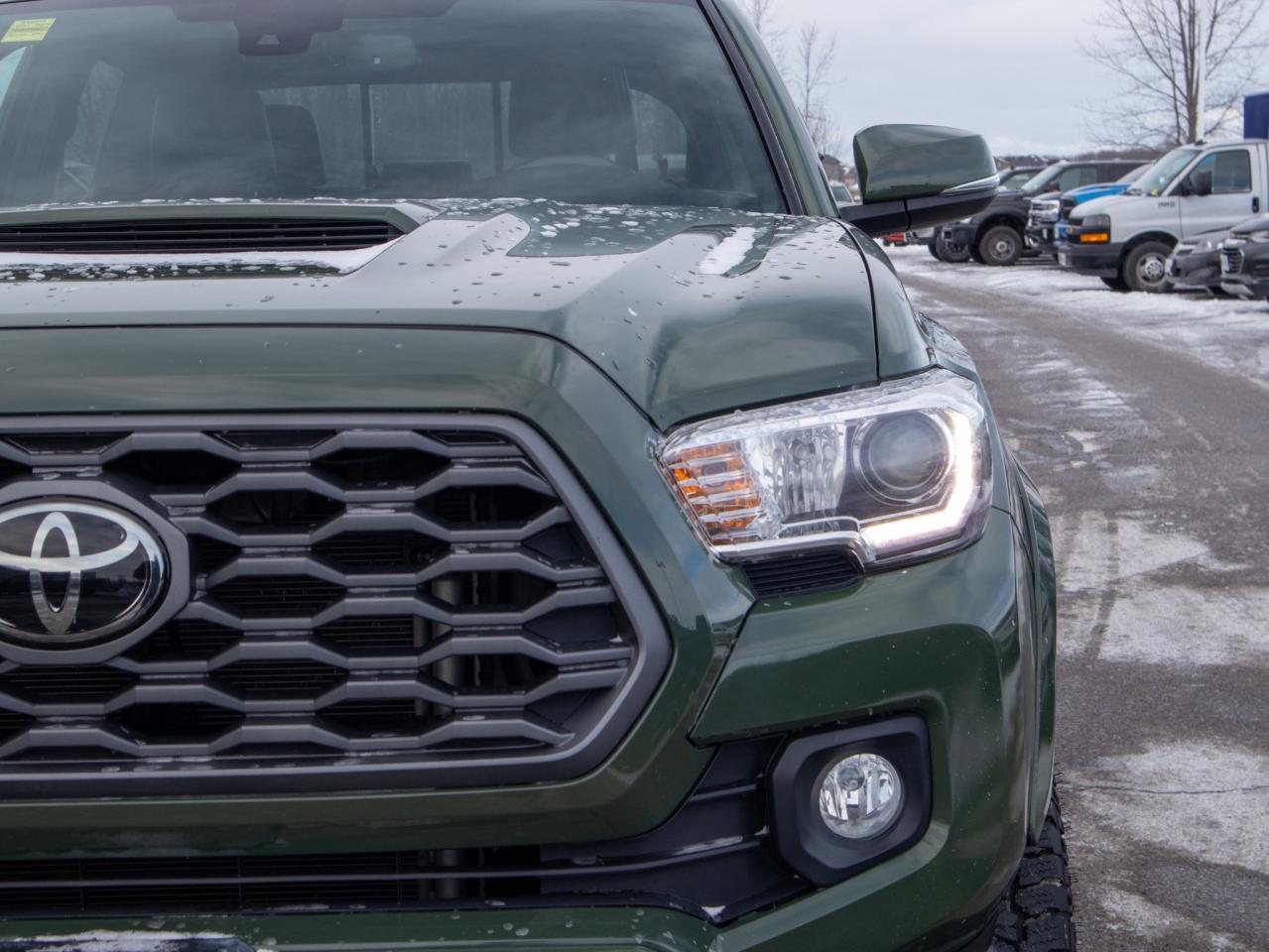 2021 Toyota Tacoma TRD Sport - Adaptive Cruise   Adjustable Lumbar Photo