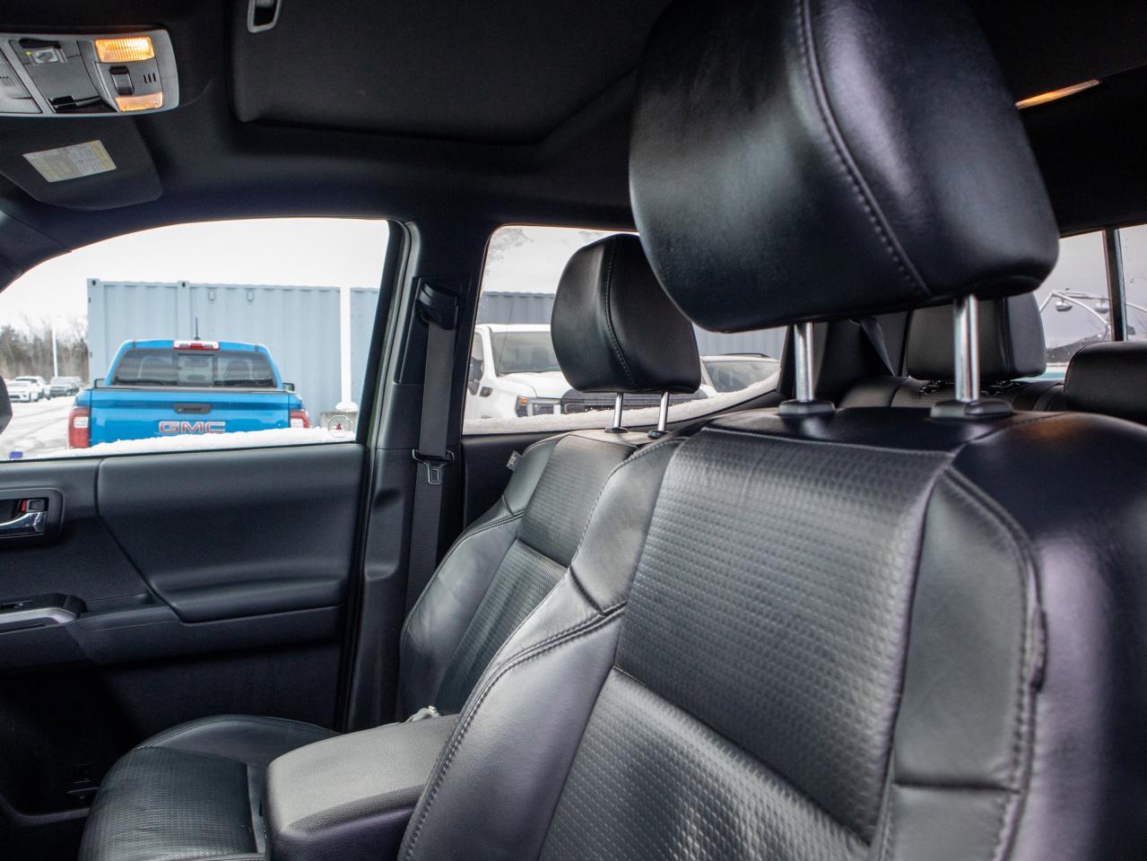 2021 Toyota Tacoma TRD Sport - Adaptive Cruise   Adjustable Lumbar Photo