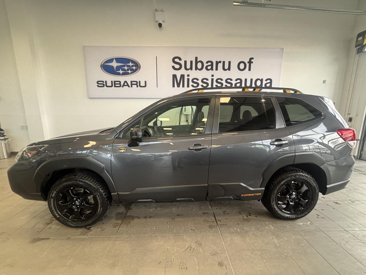 2024 Subaru Forester WILDERNESS   1 OWNER   CLEAN CARFAX   SUNROOF  AWD Photo3