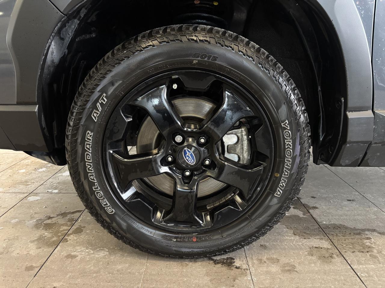 2024 Subaru Forester WILDERNESS   1 OWNER   CLEAN CARFAX   SUNROOF  AWD Photo