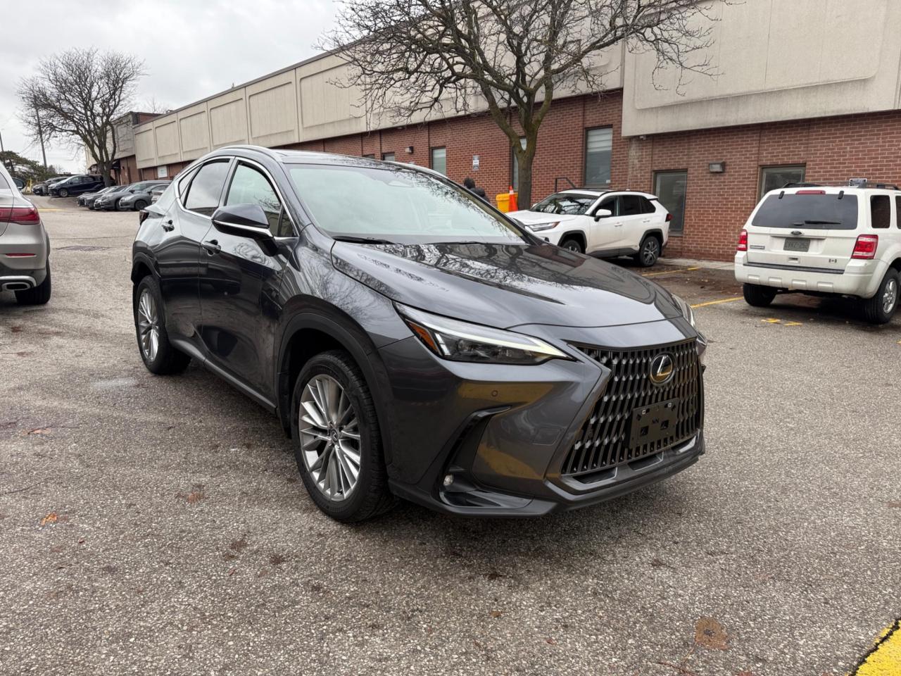 2025 Lexus NX NX 350h AWD, LUXURY PKG, PANO ROOF Photo