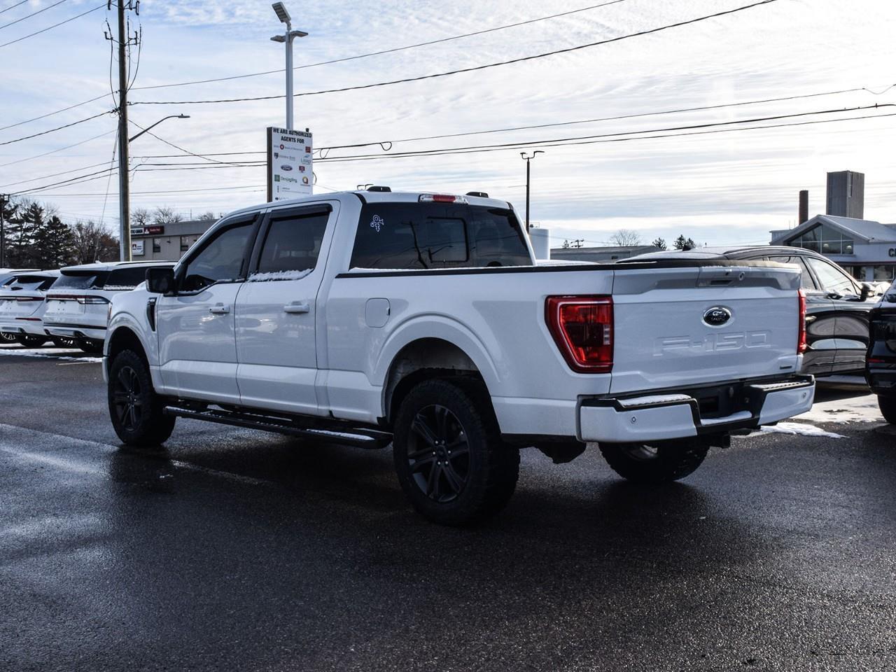 2023 Ford F-150 XLT 3.5L EcoBoost   Heated Seats   Tailgate Step Photo