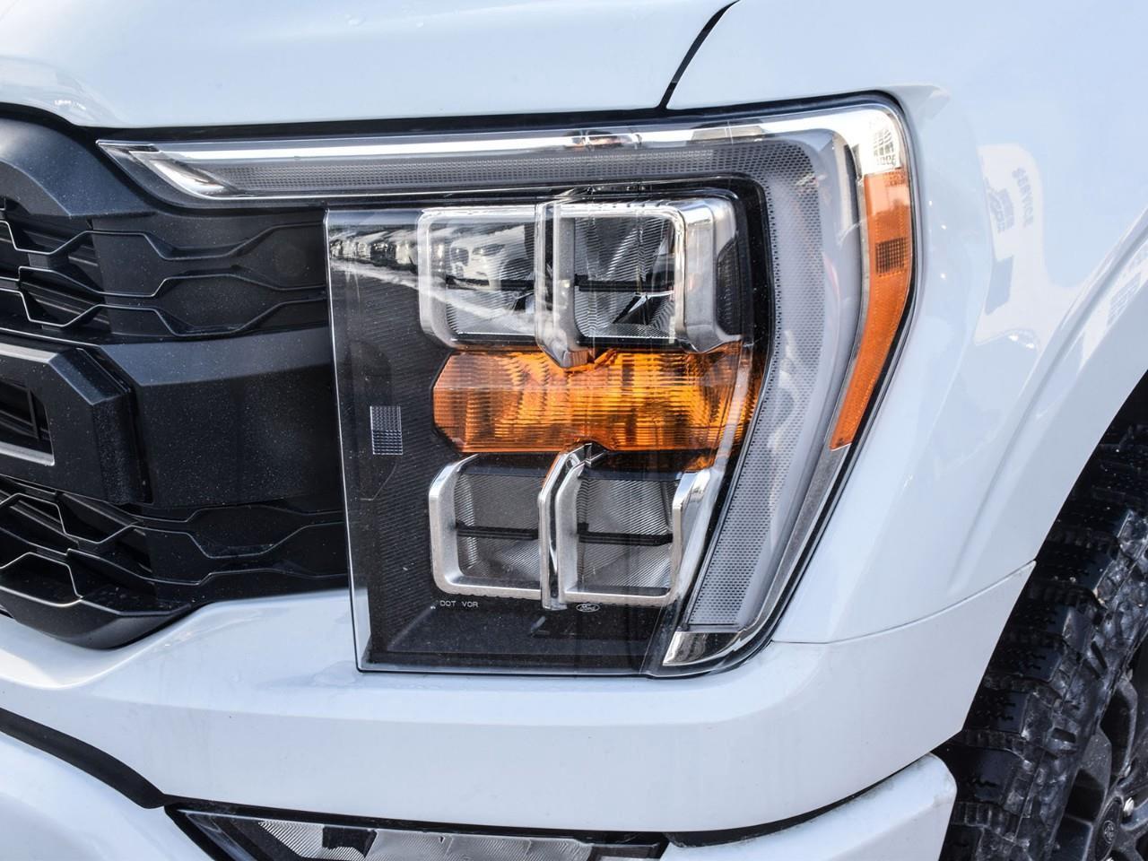 2023 Ford F-150 XLT 3.5L EcoBoost   Heated Seats   Tailgate Step Photo