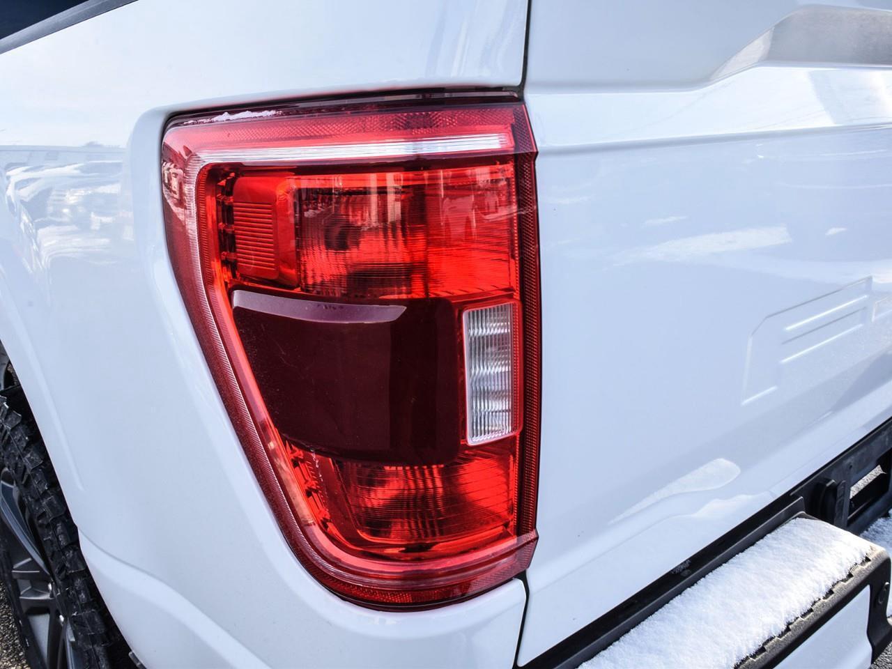 2023 Ford F-150 XLT 3.5L EcoBoost   Heated Seats   Tailgate Step Photo