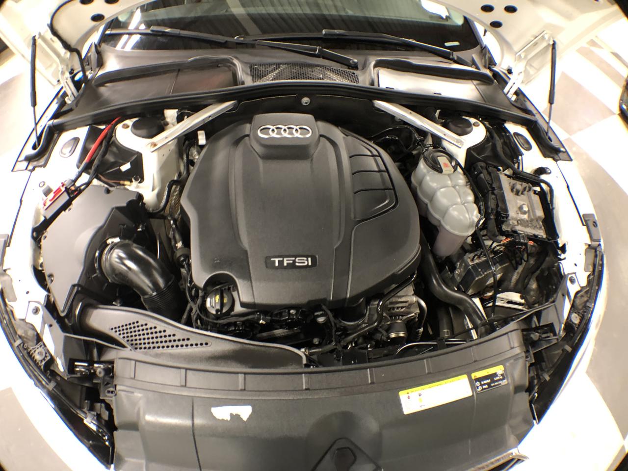 2019 Audi A5 MOMFORT AWD LEATHER PAN/ROOF B/SPOT CAMERA Photo