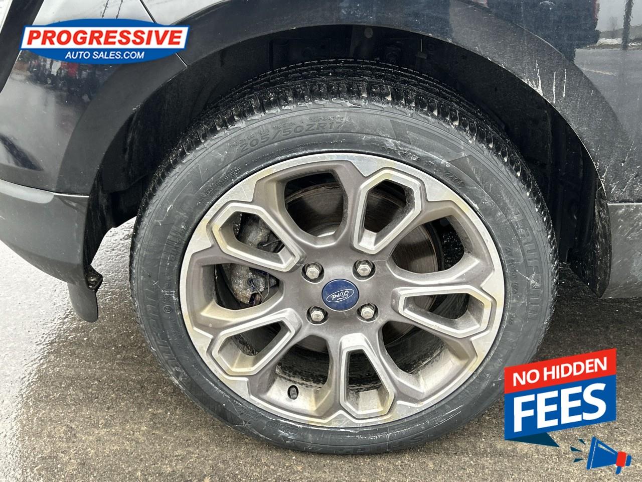 2019 Ford EcoSport Titanium Photo