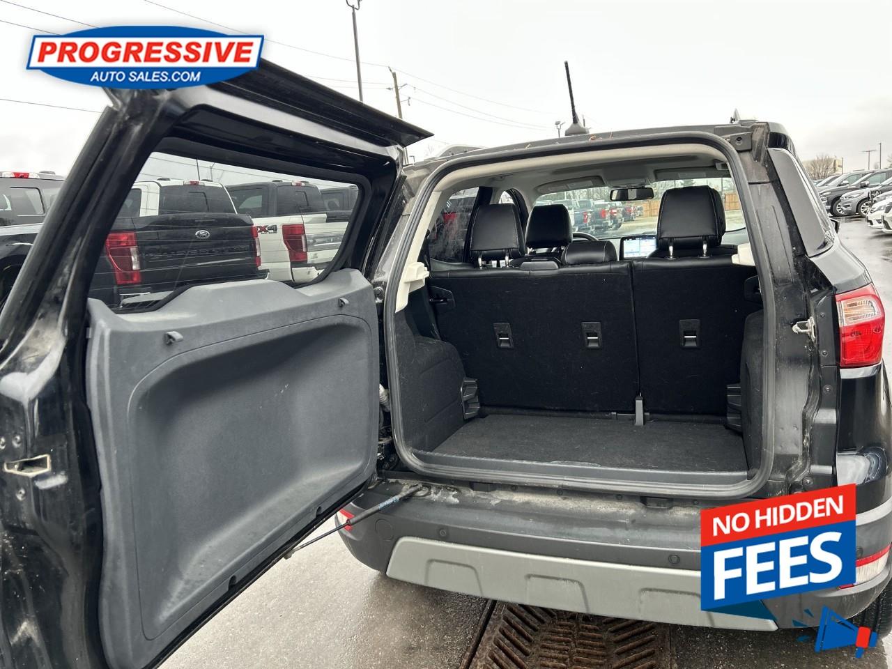 2019 Ford EcoSport Titanium Photo