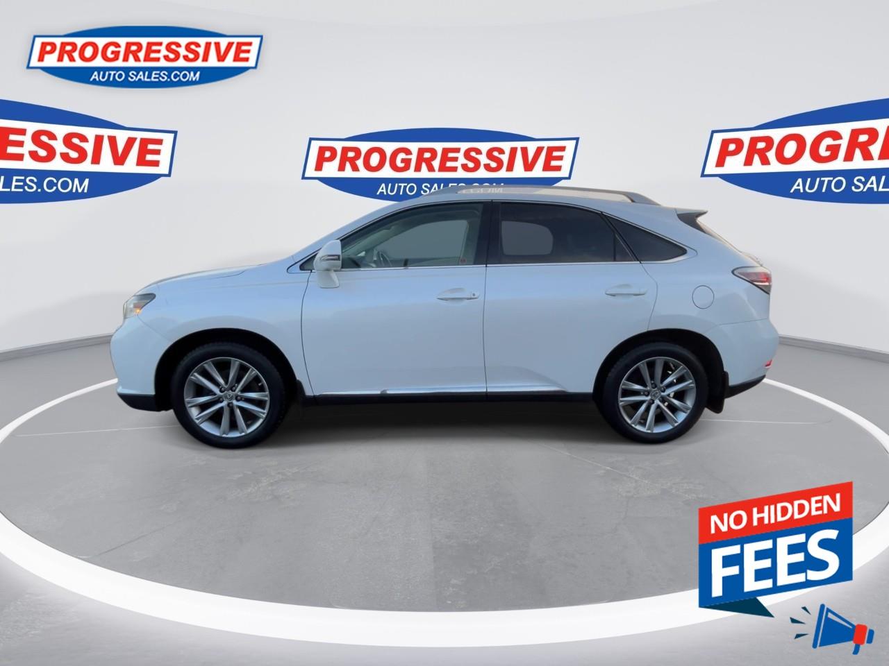 2015 Lexus RX 350 Sportdesign Photo